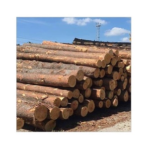 Pine <b>Wood</b> <b>Logs</b> - Various Diameter and Length Options - Product Image 3