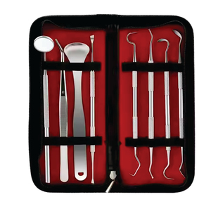 Equipo dental personalizado Escaladores dentales Kit de limpieza dental Instrumentos con marcado CE de Zonedge - Product Image 1