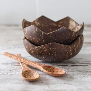 ชามมะพร้าวและช้อน-กะลามะพร้าวคุณภาพสูงแกะสลักชามและช้อนผสมสีและรูปร่าง - Product Image 4