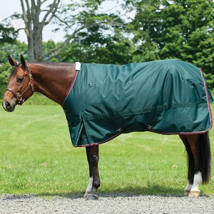 Selle de dressage pour cheval de haute qualité, nouveau design, imperméable, respirante, couverture d'été, rembourrage en polyester, 4 sangles pour les pattes - Product Image 4