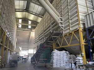 Riz Basmati biologique à grains longs de France Lamphun, exportateur premium de l'Union européenne, offrant un goût authentique - Product Image 4