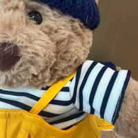 Peluche Bartholomew Bear Seafarer 2026, jouet en peluche super doux avec sac d'étiquetage, cadeau mignon et kawaii