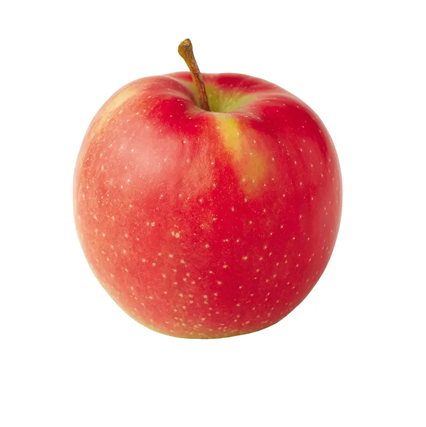 新鮮なフルーツJonagold Apple Fruitsバルク新鮮在庫輸出可能