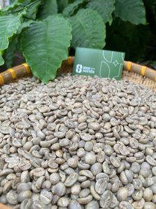 Commercio all'ingrosso brasiliano di alta qualità fagiolini Arabica caffè con il miglior prezzo per l'importazione di buona qualità crudo Arabica chicchi di caffè - Product Image 5