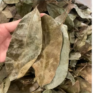 HOJAS DE URENTA SECAS ENTERAS/MEZCLA DE HERBAS/SEGURIDAD - Product Image 6