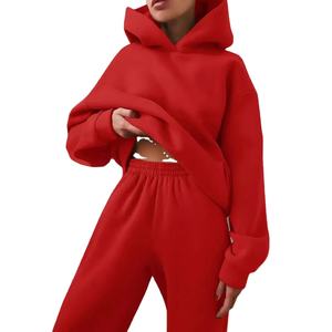 2024 femmes nouveau Style hiver survêtement solide épais à capuche à manches longues sweats taille élastique deux pièces pantalon ensembles grande taille - Product Image 6