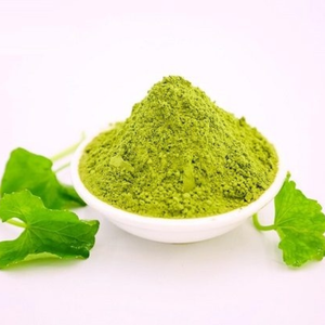 Polvo de centella asiática orgánica procesado a partir de hojas frescas seleccionadas que garantiza un color estable y un contenido nutricional - Product Image 4