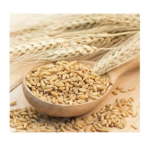 Alimento de cebada para consumo animal y humano - Product Image 1