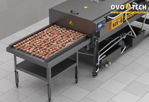 Lavadora de Huevos OVO-TECH MX-6 con Cinta Transportadora de PU de Grado Alimenticio, Máquina de Limpieza Comercial para Hostelería, 39000 Huevos por Hora - Product Image 4