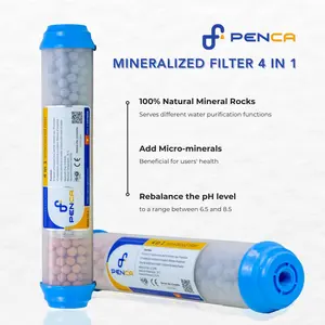 Pensil Vietnam grosir T33K Cartridge Filter air mineral 4 In 1 untuk sistem RO rumah meningkatkan mineral esensial