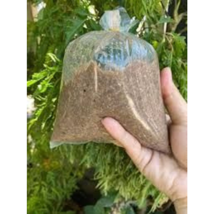 ปูแช่แข็งแบบบริสุทธิ์จากเวียดนาม - Product Image 2