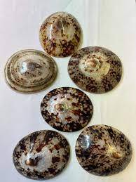 Lapa pulida Shell Vietnam origen para manualidades joyería decoración al por mayor - Product Image 5