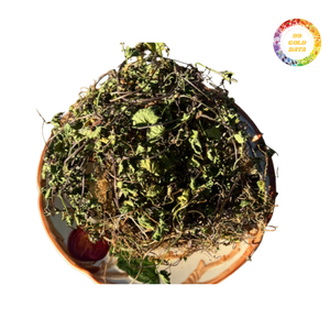 Centella Asiatica แห้งราคาไม่แพง-เหมาะสำหรับการจัดจำหน่ายขายส่งและการผลิตอาหาร - Product Image 2