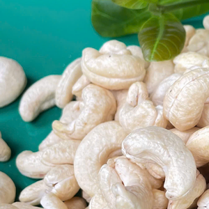 ถั่วเม็ดมะม่วงหิมพานต์จากเวียดนาม1กก. Ww180 Ww240 Ww320LOW จำนวนมากพร้อมส่ง - Product Image 1