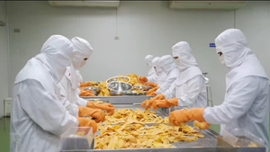 ขนมมะม่วงอบแห้งแบบนิ่มแบบเขตร้อนเคี้ยวหนึบมีไฟเบอร์และเพิ่มพลังงานเหมาะสำหรับเป็นของขวัญแฮมพ์โปรโมชั่นตามฤดูกาล - Product Image 4