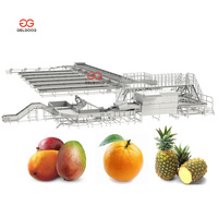 Gelgoog Automatische Bellenwasmachine voor Groenten, Appels, Mango's, Fruit en Groenten, inclusief reiniging, drogen, sorteren en verpakken.