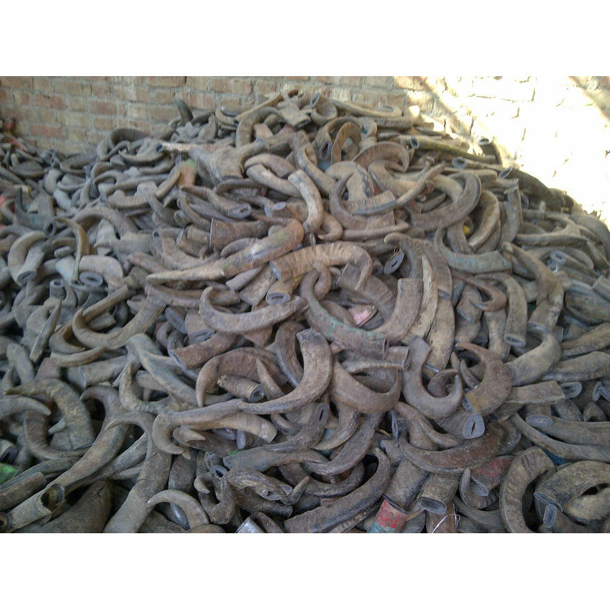 เช่นเดียวกับภาพ