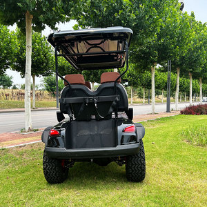 Voiture tout-terrain électrique de luxe 4 places 48V/72V 5KW neuve en promotion - Product Image 2