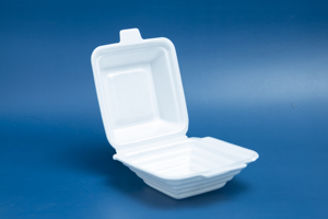 Hot sale PS <b>Foam</b> Food Container High Quality for Food/ Fruit Japan Standard Disposable Packing Items Wholesale Best Selling - Product Image 4