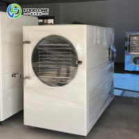 Automatische Chili Cherry Fruit en Groente Vacuüm Vriesdroogmachine Lyofilisator te Koop