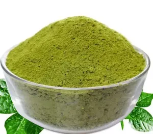 Polvo de Moringa Fino Hecho con Hojas de Moringa 100% Frescas en Vietnam - Product Image 6