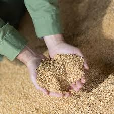 Giá tốt nhất với tiêu chuẩn cao đậu nành vỏ cho động vật - Product Image 5