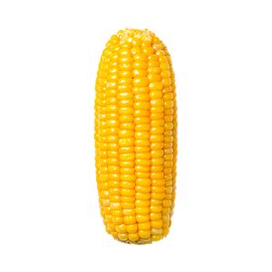 Maíz amarillo de primera calidad a precio económico, seleccionado para comercio mayorista y venta a granel - Product Image 2