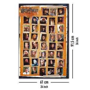 Póster extraíble del retrato de Harry Potter y las Horquillas de la Muerte - Product Image 2