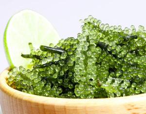 Instant Sea Grapes Dehydrated Green Caviar Easy <b>Rehydration</b> Bulk - Product Image 6