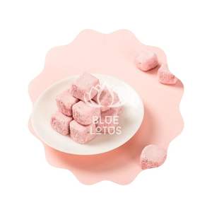 โยเกิร์ตฟรีซดรายบลูลอตัส 2025 ของว่างโยเกิร์ตแบบเบา ราคาสุดคุ้ม - Product Image 1