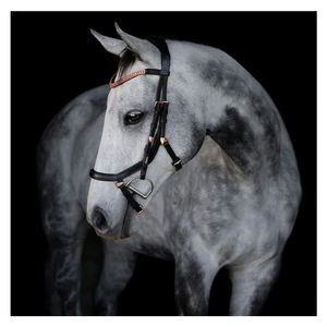 All Purpose Custom Made Imported Quality Horse Leather Bridle Smart Lumiere <b>Equestrian</b> Aria Anatomic Leather Bridle - Product Image 3