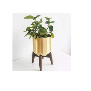 Jardinière de fleurs galvanisée à la main Pot de décoration de jardin bon marché fabriqué en Inde - Product Image 2