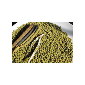 Fèves mungo fraîches en gros, livraison en vrac, fèves vertes de haute qualité - Product Image 5