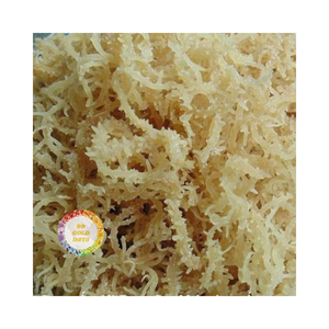 สาหร่ายคอตตอนนีแห้งจากเวียดนามส่งตรงจากโรงงาน - Product Image 4