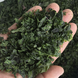 สาหร่ายสีเขียวอบแห้ง ulva Lactuca จากเวียดนาม - Product Image 6