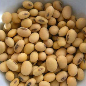 Frijoles de soja secos a la venta - Product Image 6