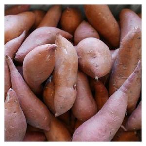 Pommes de terre fraîches biologiques en gros à bas prix, de haute qualité, marque Fenduni - Product Image 1