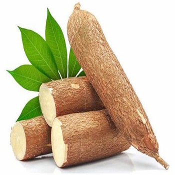 Лучшая цена, оптовая продажа, Сухие Кусочки маниоки, свежая сушеная тапиока, ломтик маниоки