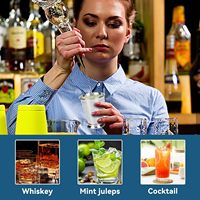 Atractivo moderno de acero inoxidable cobre menta Julep Cup Barware Drinkware Bar restaurante tazas cóctel Mojito Metal bebida vidrio