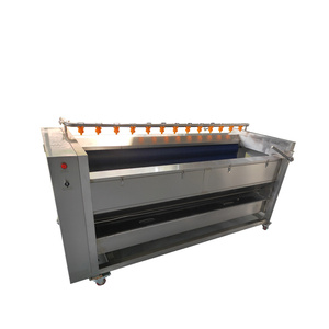 Nouvelle usine de lavage de légumes de haute qualité - Product Image 6