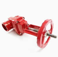 Équipement de lutte contre l'incendie de prix usine Type de rainure DN50-DN200 Vanne de porte de cale de tige montante