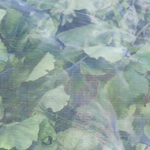 Toptan dayanıklı HDPE Anti-cibinlik özel kesim sera tarım böcek örgü <span class=keywords><strong>Net</strong></span> sebze bahçeleri için - Product Image 6