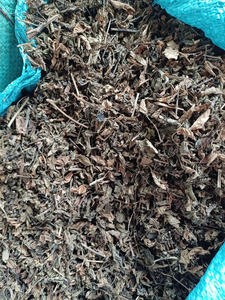 FEUILLE DE GELÉE D'HERBE/GELÉE D'HERBE EN POUDRE-FEUILLES DE GELÉE D'HERBE NOIRE CRUE AVEC QUANTITÉ EN VRAC POUR L'EXPORTATION DE 99GD - Product Image 6