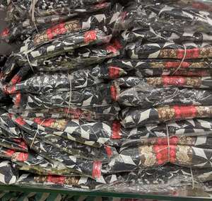 ชุดเสื้อผ้าพื้นเมืองอินเดียและปากีสถานสำหรับผู้หญิงในอินเดียพิมพ์ดิจิตอล - Product Image 4