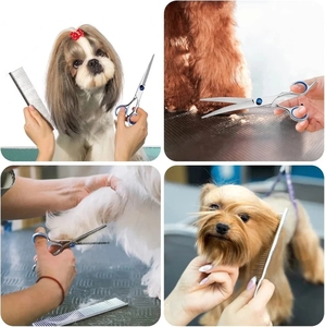 Tijeras profesionales para el cuidado de mascotas, la mejor calidad, 5/1 piezas, tijeras para el pelo de perro de acero inoxidable con Material de goma, corte de pelo - Product Image 3