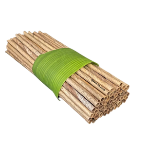 Vente chaude 100% pailles jetables de noix de coco biodégradables pour boissons chaudes/froides pour - Product Image 1