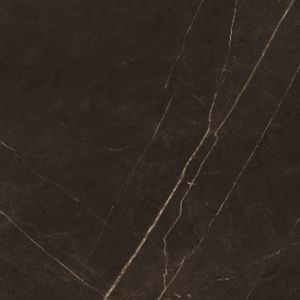 Découvrez les principales marques indiennes produisant des carreaux de porcelaine élégants et durables de 60x60cm pour les articles de décoration de la maison et du salon - Product Image 3