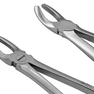 Instrument chirurgical dentaire manuel en acier inoxydable de qualité supérieure, certifié CE, pour l'extraction des dents, vente chaude. - Product Image 5