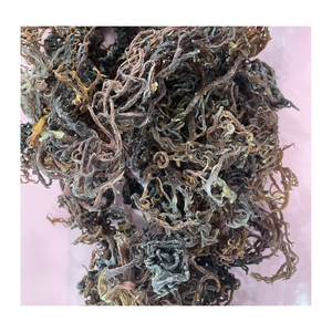 มอสทะเลสีทองอบแห้งจากเวียดนามสาหร่ายไอริชดิบสำหรับสมูทตี้เจลแปรรูปสลัดมอสทะเลตากแห้ง - Product Image 3