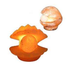 Lampe en sel de roche rose de l'Himalaya sculptée en forme de coquille de mer par Sian Enterprises - Product Image 5